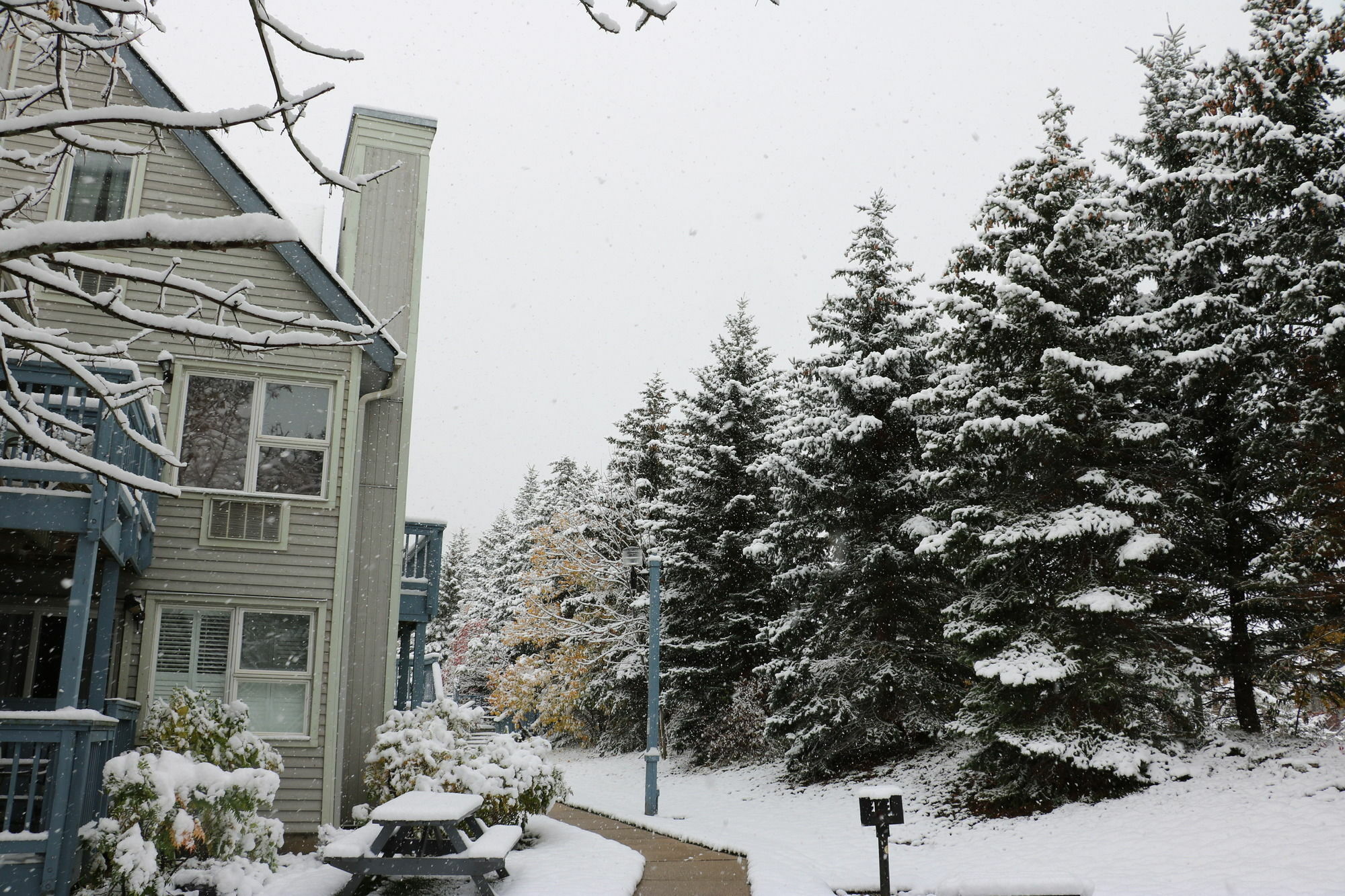 Blue Mountain Apartment At North Creek Resort The The Blue Mountains Exterior foto